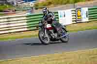 Vintage-motorcycle-club;eventdigitalimages;mallory-park;mallory-park-trackday-photographs;no-limits-trackdays;peter-wileman-photography;trackday-digital-images;trackday-photos;vmcc-festival-1000-bikes-photographs